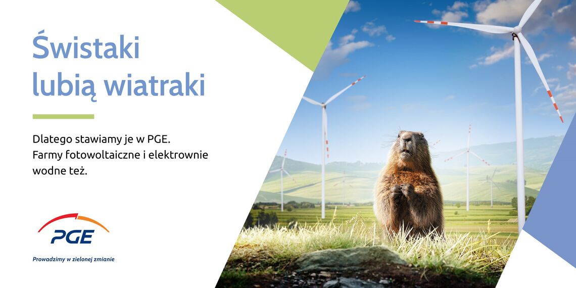 PGE Polska Grupa Energetyczna (2)