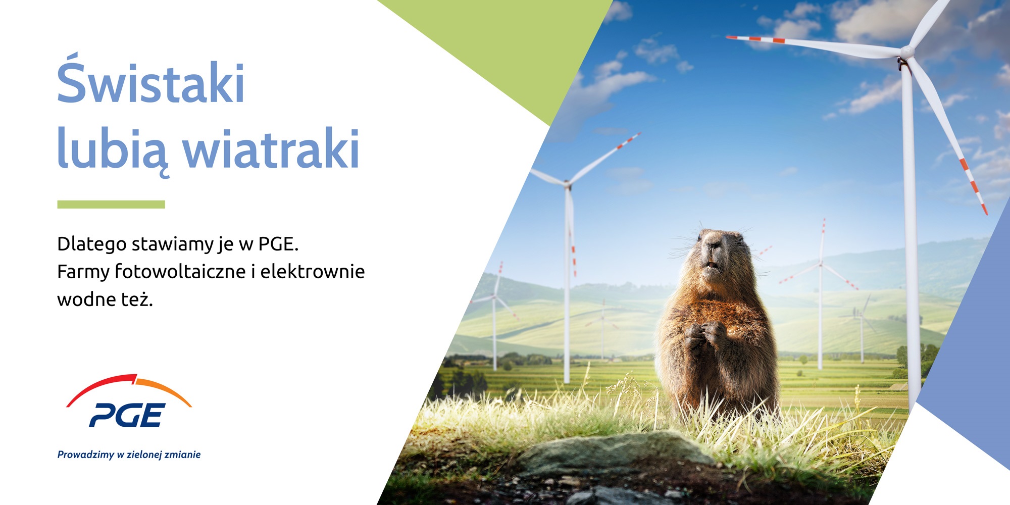 PGE Polska Grupa Energetyczna (2)