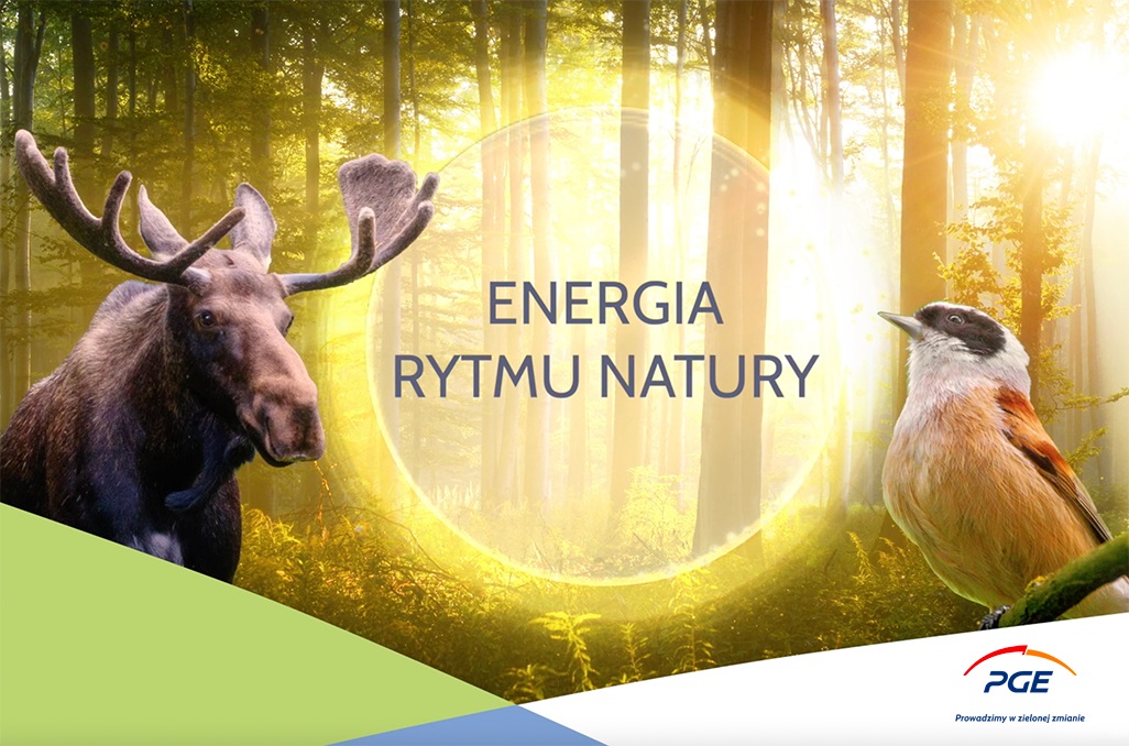 PGE Polska Grupa Energetyczna